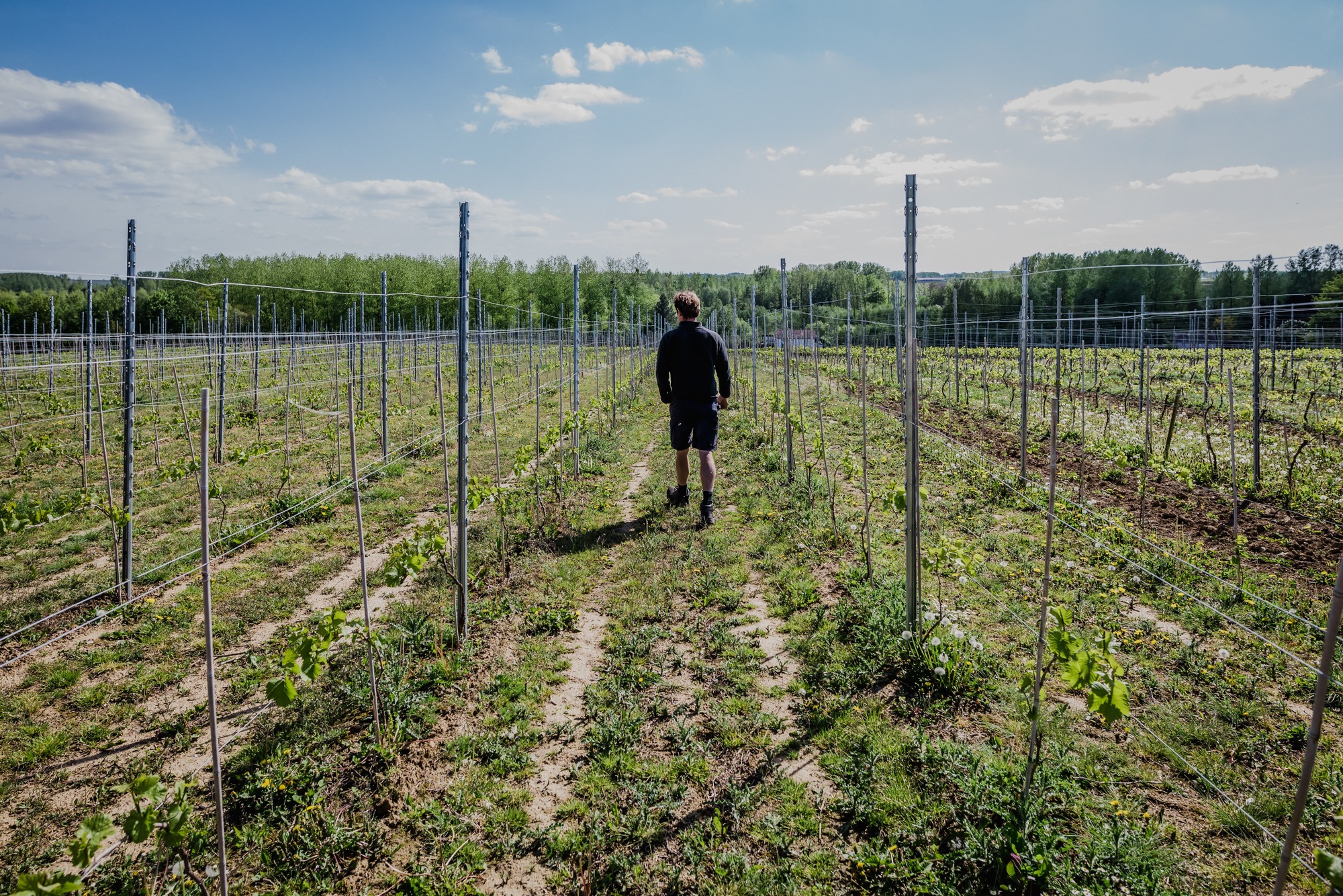 Het verhaal van wijnproducent Claire Martin in Hasselt
