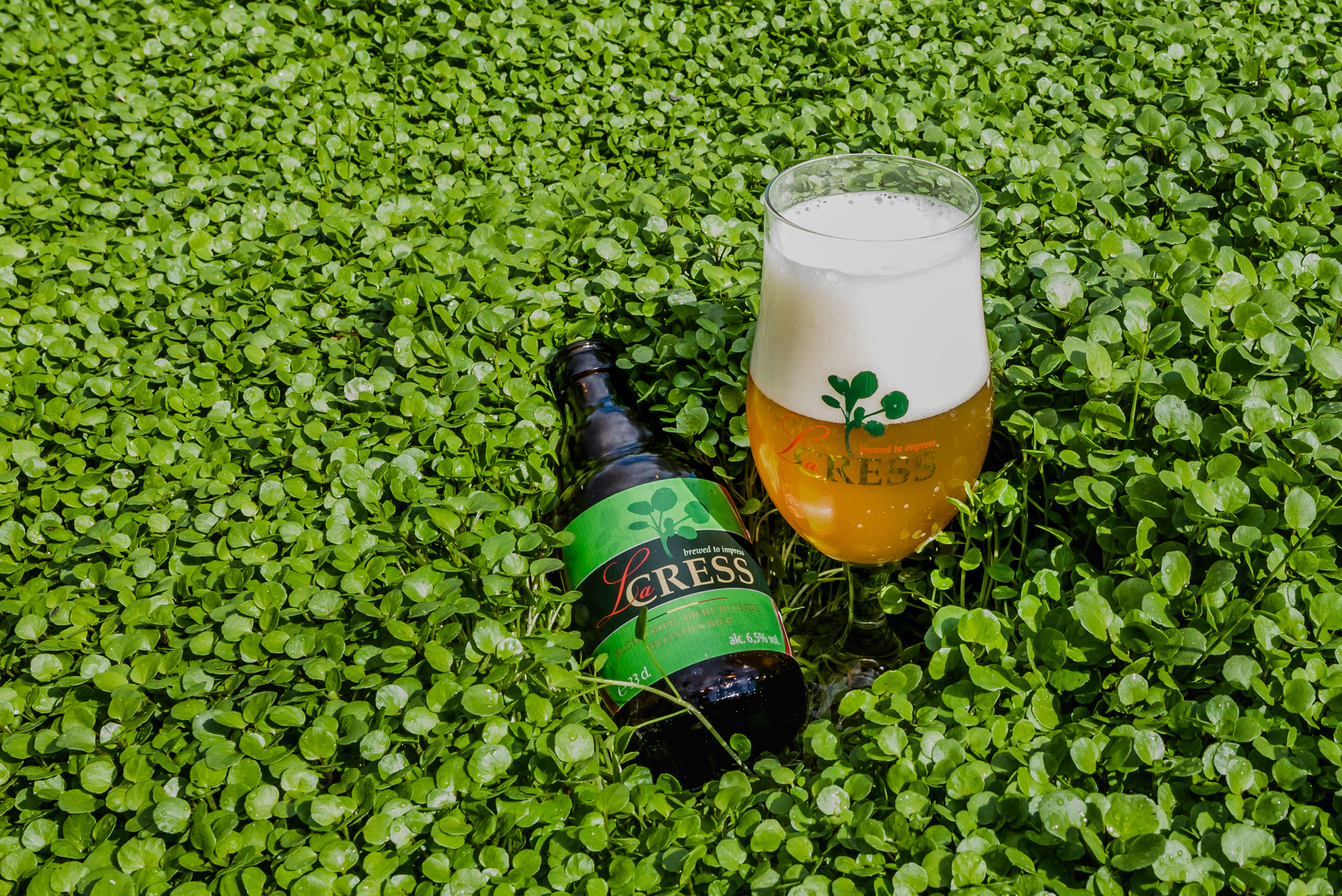 Het verhaal van waterkers- en bierproducent Sint-Lucie en La Cress